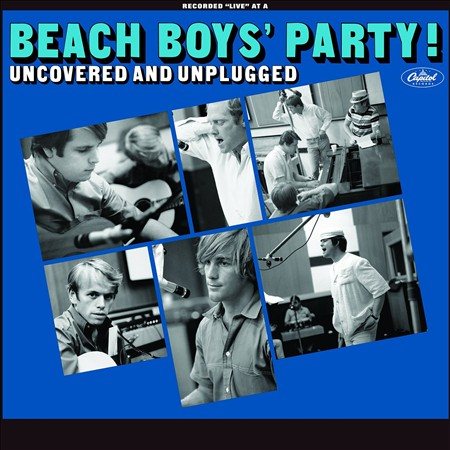BEACH BOYS' PARTY!