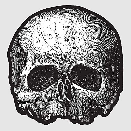 Black Pearl 10” (Die Cut Skull Pic Disc)