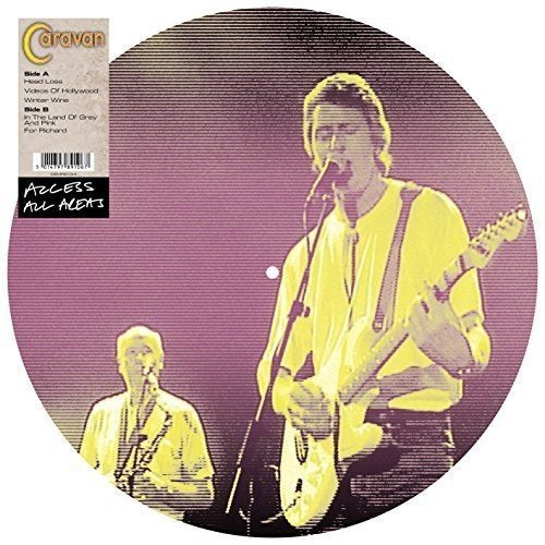 Access All Areas (Picture Disc)