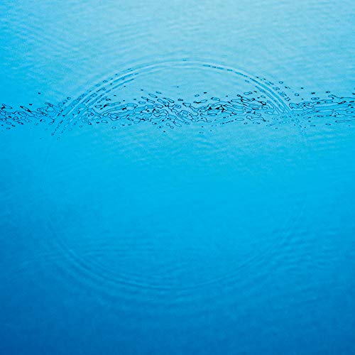 Suddenly - Caribou (Vinyl)