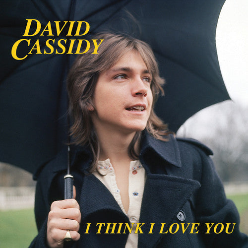 I Think I Love You (Limited Edition, Blue, Pink) (7" Single)