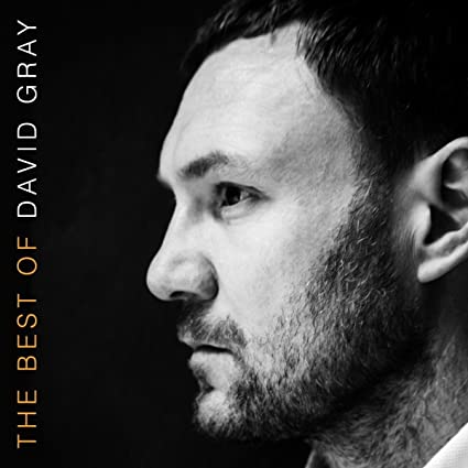 The Best of David Gray (Gatefold Cover) (2 Lp's) [Import]