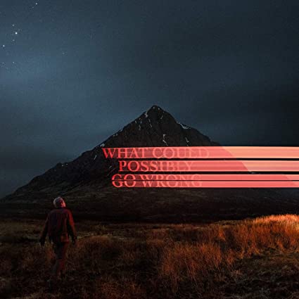 What Could Possibly Go Wrong [Explicit Content] (140 Gram Vinyl,
