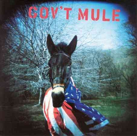 Govt Mule