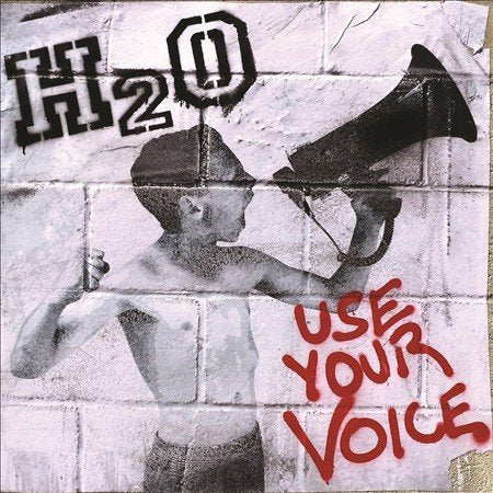 USE YOUR VOICE