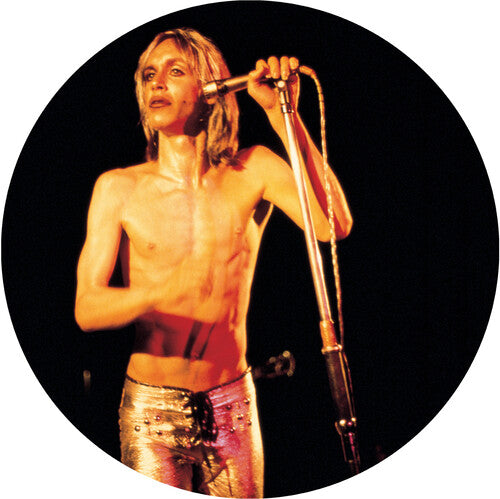 More Power - A Gorgeous Picture Disc Vinyl (Picture Disc Vinyl L