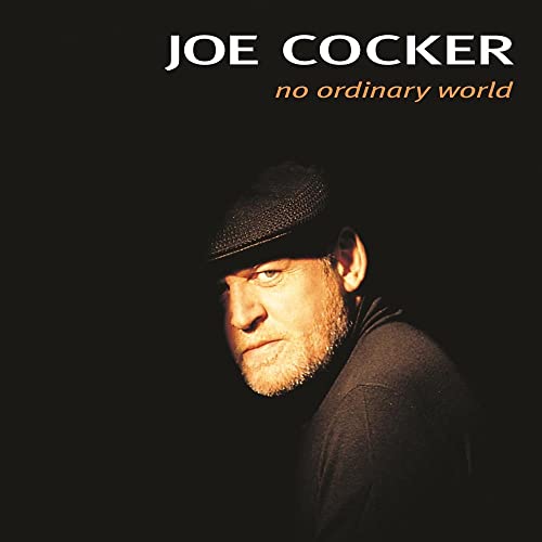 No Ordinary World [2 LP]