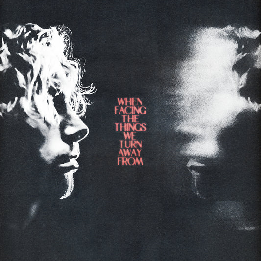When Facing The Things We Turn Away From (Gatefold LP Jacket, 150 Gram Vinyl)