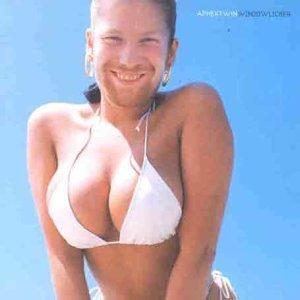 WINDOWLICKER