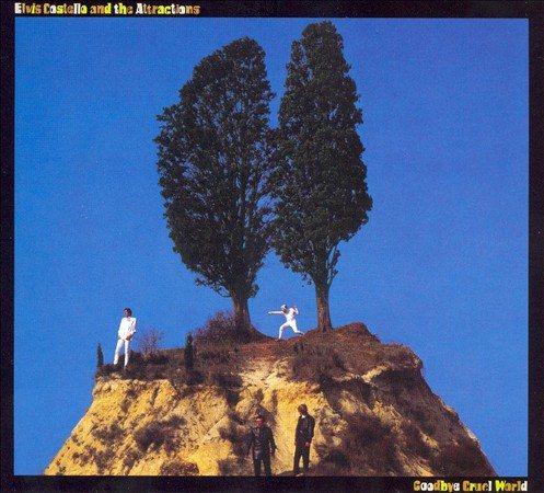 GOODBYE CRUEL WOR(LP