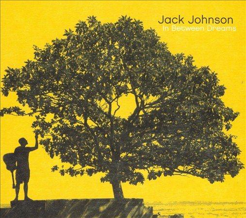 In Between Dreams - Jack Johnson Vinyl