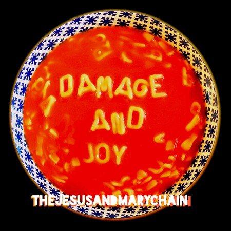 DAMAGE & JOY