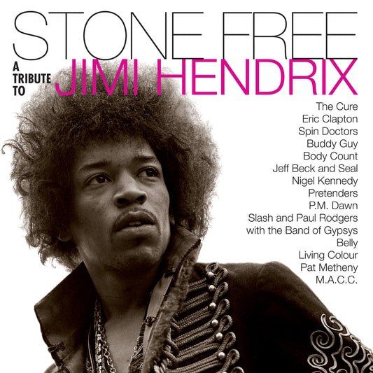 Stone Free: Jimi Hendrix Tribute ( ROCKTOBER 2020 BRICK N MORTAR