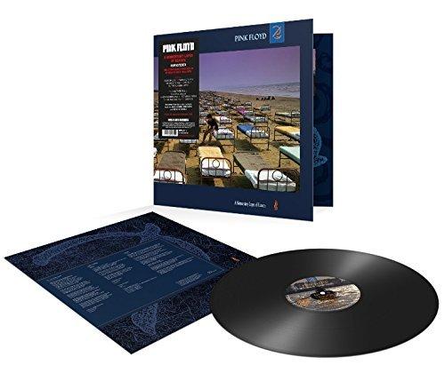 Pink Floyd - Momentary Lapse Of Reason (2011 Remastered) LP