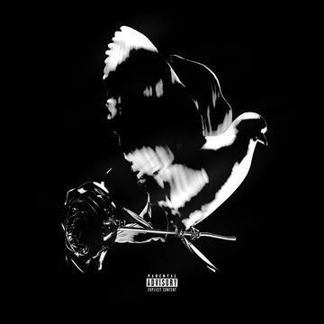 Shoot For The Stars Aim For The Moon (Deluxe) (RSD Black Friday
