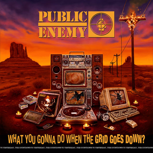 What You Gonna Do When The Grid Goes Down? [LP]