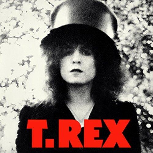 The Slider Vinyl - T.Rex