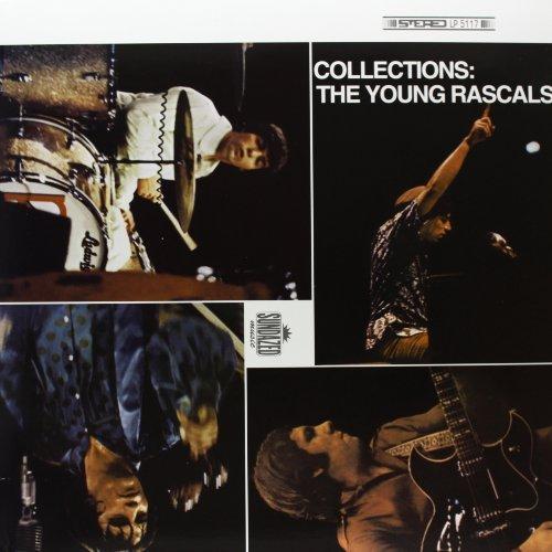 COLLECTIONS