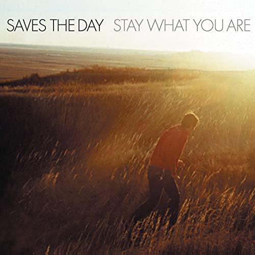 Stay What You Are (Brown Double 10" Vinyl) [Limited Edition]