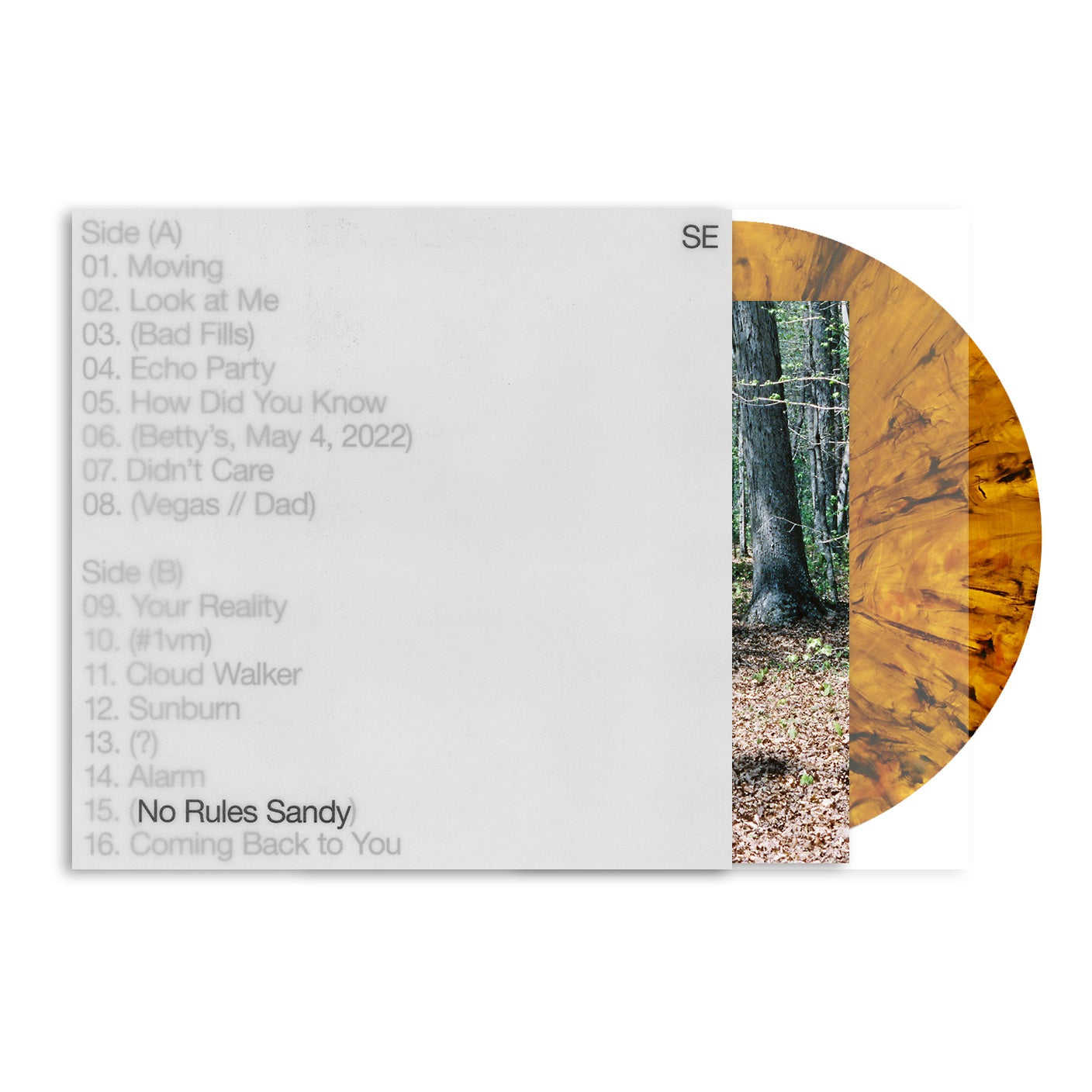 No Rules Sandy [Tiger's Eye LP]
