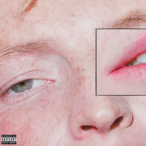 Dandelion - The Greeting Committee (Vinyl)