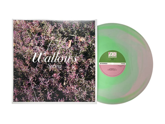 Spring - Wallows Vinyl