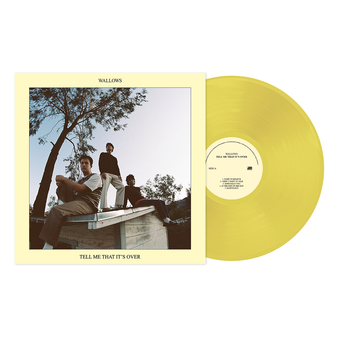 Tell Me That It's Over - Wallows Vinyl