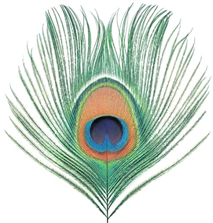 Apple Venus Vol. 1 (200 Gram Vinyl) [Import]