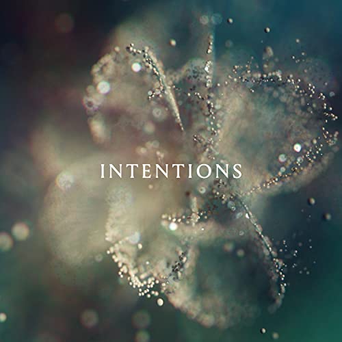 Intentions [2 LP]
