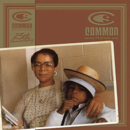 One Day It'll All Make Sense (Caramel Swirl Vinyl) (25th Anniversary Edition) (2 Lp's)