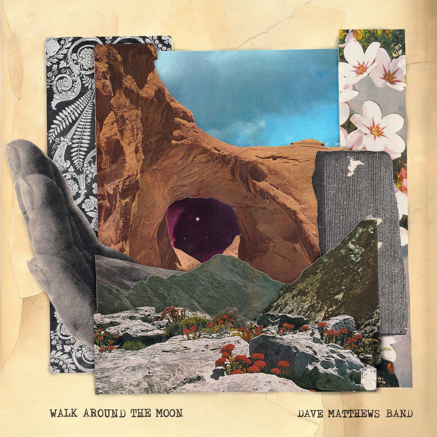 Walk Around The Moon (Wide Vinyl, Black) - Dave Matthews Band Vinyl