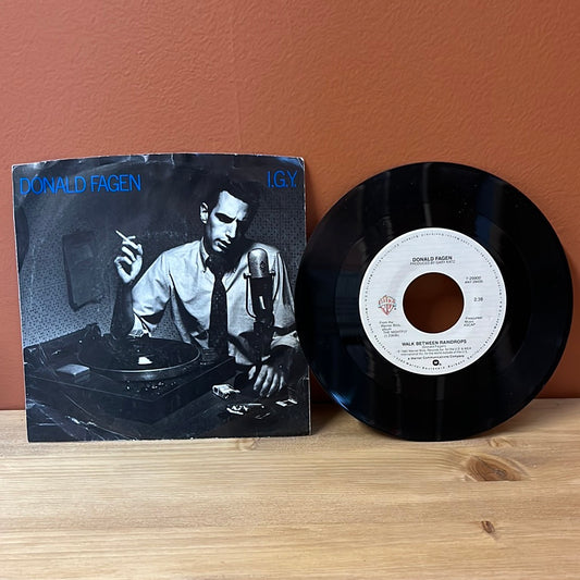 Donald Fagen I.G.Y b/w Walk Between Raindrops Warner Bros. 7-29900 VG+/EX With Picture Sleeve