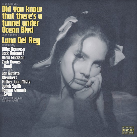 Did you know that there’s a tunnel under Ocean Blvd [2 LP]