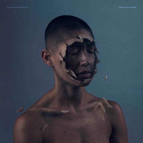 The Valley Of Vision (Indie Exclusive, Limited Edition, Colored Vinyl, Blue)