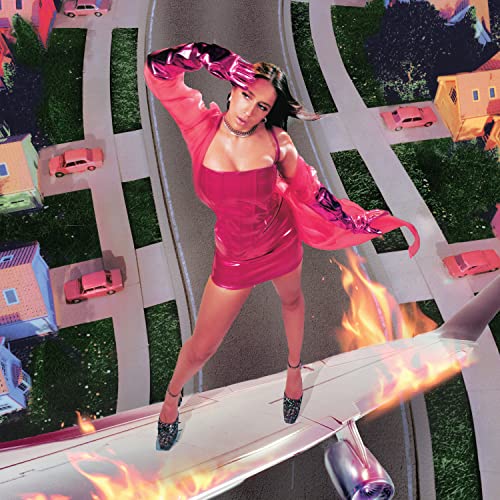 I USED TO THINK I COULD FLY