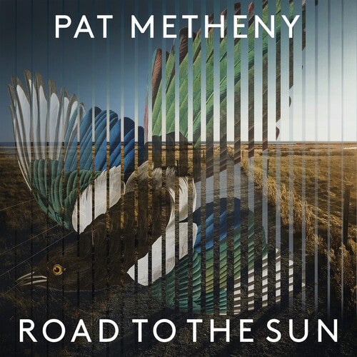 Road To The Sun (2 Lp's)
