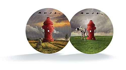 Signals (40th Anniversary) [Picture Disc LP]