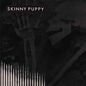 Remission (150 Gram Vinyl)