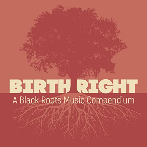 Birthright: A Black Roots Music Compendium [2 CD]